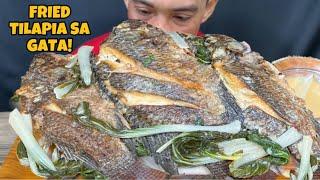 Fried Big Tilapia sa Gata Mukbang Asmr | Filipino Food Mukbang Philippines