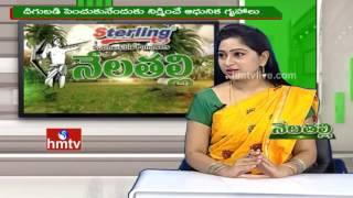 Polyhouse Farming | Ideal Farmer Narasimha Reddy Tips | Nela Talli | HMTV