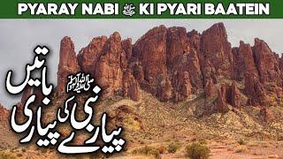 Payare Nabi Ki Payari Batein | Pyare Rasool Ki Pyari Baaten | Nabi Ki Baatein | Al Habib Islamic