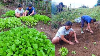 We are working in vegetable farm II Life in Jungle goat hut@AloneAdhirajnepal