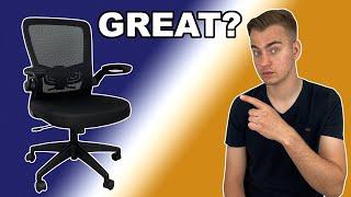 Great For Your Home Office? Ergonomic Desk Chair Review