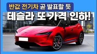 테슬라 또 가격 인하! 반값 전기차 곧 발표할 듯