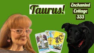 TAURUS  WHO IS THIS PERSON THAT KEPT HIJACKING YOUR READING? ROMANCE TAROT READING!