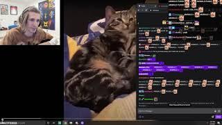 xQc ANIMALS = LULW