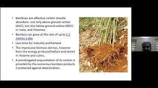 Carbon Sequestration and Soil Improvement through Bamboo Cultivation by Dr. C.M. Jijesh