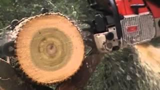 Mastermind Worksaws Built Stihl 084