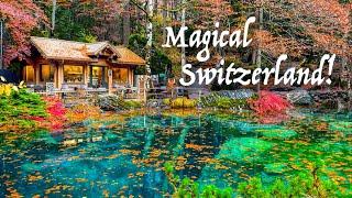 Blausee is a fairy tale lake in Switzerland  Complete Travel Guide