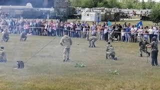 2.08.2020 день ВДВ Тольятти