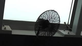 Windy 20" & 24" Industrial Oscillating Wall Fans