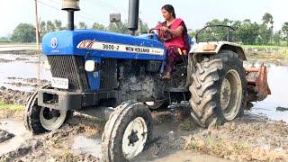 Village Girl vs New Holland 3600-2 Tractor Demo with 5 Tyne cultivator