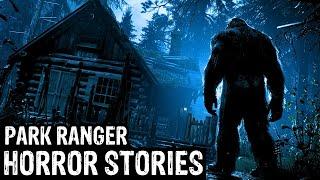 13 TRUE Terrifying Park Ranger Horror Stories (Dogman,Sasquatch, Wendigo,Werewolf,Bigfoot,Creepy)