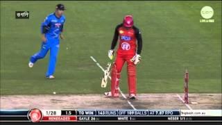 chris gayle ever best batting HD