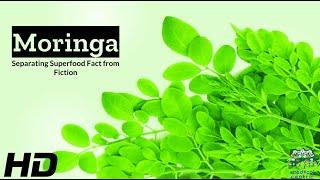 Moringa Unveiled: Separating Science from Superfood Fiction