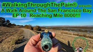 #WalkingThroughThePain® presents A Walk Around The San Francisco Bay EP 10 Reaching Mile 8000!!!