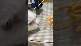 콧구멍이 솔직한 임호수