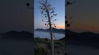 Hiking Above the Clouds                      #hike #hiking #hikingadventures
