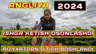 ANGLIYAGA ISH BORISH 2024  |  АНГЛИЯГА ИШГА КЕТИШ 2024  |  MIGRATSIYA_UZBEKISTAN....