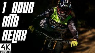 1 HOUR FANTASTIC MTB MIX | Downhill & Freeride Mountain Biking (MTB) 2021 4K #39