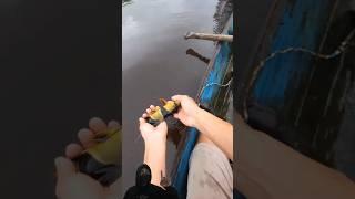 Demi Menjaga Kelestarian! Seorang Nelayan Rela Melepaskan Kembali Ikan Hasil Tangmapannya