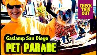 Pet Parade Gaslamp San Diego 2022! #sandiego #gaslamp