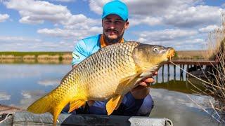 PESCUIT LA METHOD FEEDER PE INTELESUL TUTUROR