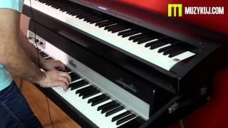 Kawai ES7 VS Fender Rhodes