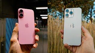 iPhone 16: A Photographer's Review