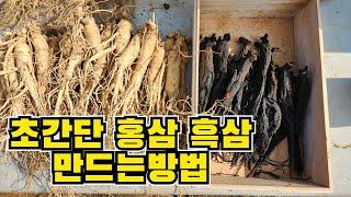 흑삼특허받은 명인이 알려주는 초간단 홍삼. 흑삼 만드는 방법 공개