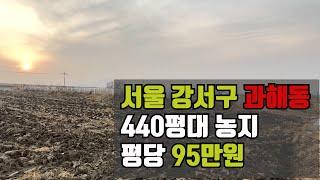 서울 강서구 과해동 440평대 농지매매 토지매매 / 평당100만