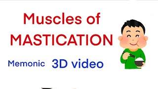 Muscles of Mastication Memonic /3D video / Easy to remember