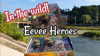 Eevee Heroes in the wild!