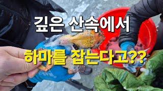 산삼나라의 리얼 산행기..#하마 #식용 #개구리 #참송장개구리 #북방산개구리