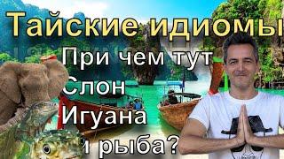 Самые интересные тайские идиомы и выражения