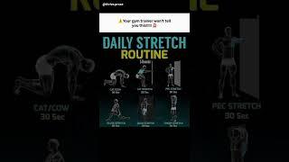  Don’t skip the stretch — it’s the secret weapon of every high-performer! 