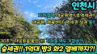 [인천빌라매매] 인천대공원이 30초 거리에? 숲세권 힐링 방3 화2 1억대 엘레베이터까지 있는 장수동빌라 지하철역까지 가깝다고?! NO.1032 [장수동빌라]