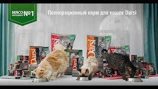 Darsi. Полнорационный сухой и влажный корм для кошек