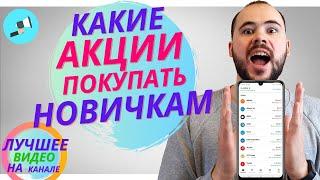 Какие акции покупать новичкам. Тинькофф инвестиции