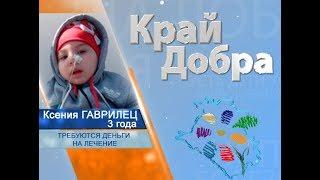 «Край Добра» помогает собрать деньги для Ксении Гаврилец