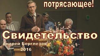 Свидетельство.  Андрей Берглезов 2016.