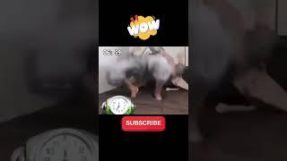Wake Up Jump to Stop the Alarm⏰Hilarious Morning Struggle #FunnyAlarm #WakeUpChallenge #MorningFails