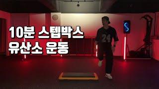 스텝박스 유산소 / 10분 노래3곡 / 3번 반복해서 30분 운동하기