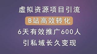 虚拟资源项目如何引流放大利润，B站亲测数据，高效转化，6天有效推广600人，引流私域长久变现，还怕赚不到钱。