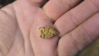 Strikein gold nuggets-Daylesford gold panning #goldpanning