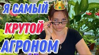 АГРОТЕХНИКА и "АГРОНОМЫ" . Комнатные растения.