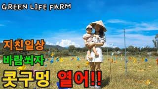 지친일상을 떠나 잠시 콧바람 슝슝 [베트남 후에] - 사랑하는 우리가족의 일상