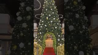 #chrismas #paris #france