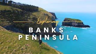 Highlights on the Banks Peninsula Track | Self Guided Walk in New Zealand