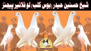 Pigeons of Shaikh Hasnain Haider ' Boss Club ' Ready for Competition in 2018