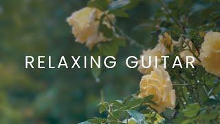 Soft Guitar Music and Rain to Work and Focus (1 Hour)