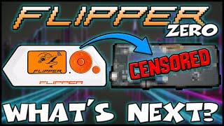 Flipper Zero : What's Next??